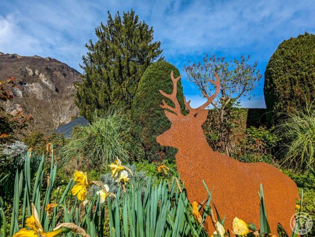 31G101491-a0d7df7d57684e9990ce4fd07bd0f6ee