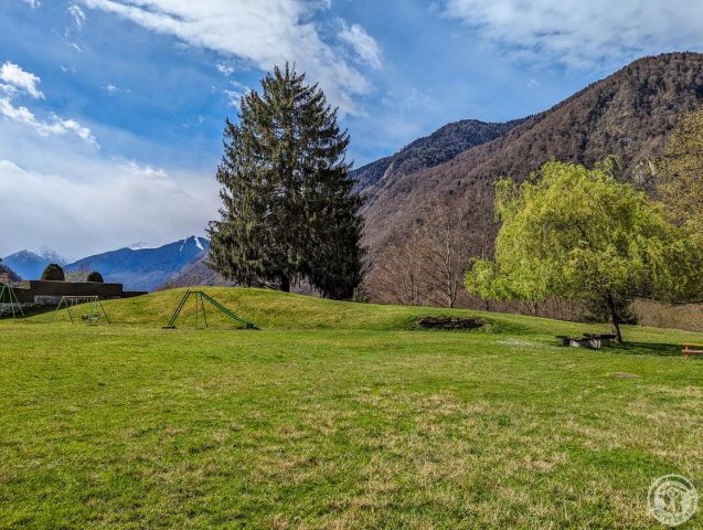 31G101491-e366616e023e486396ee2bc08d385a00