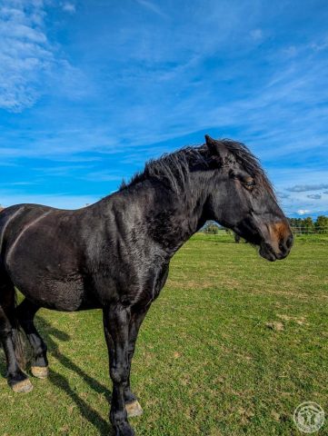 31G101494-2a31beb791bc453b8fd6cde7f3971905