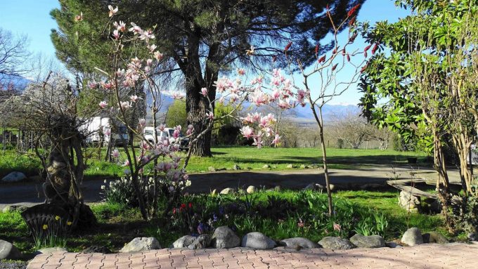 31G101494-3ca390146e0b4f99acd6c35b9dddda08