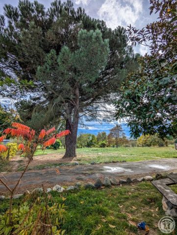 31G101494-47fbdcd5df9447ac87dfdf60c501a27e