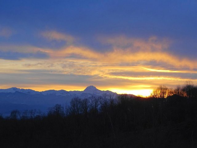 31G101494-8b19453772304a1d9fb2d61062684505