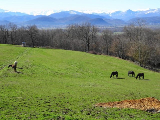 31G101494-a2069036a8d44812939f2a4d0b3f9a4f