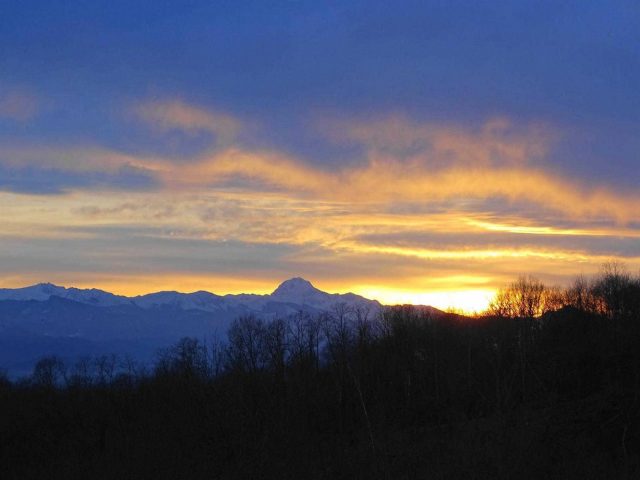 31G101494-b7f5cf7442a047b38dd4f3f2328cf716