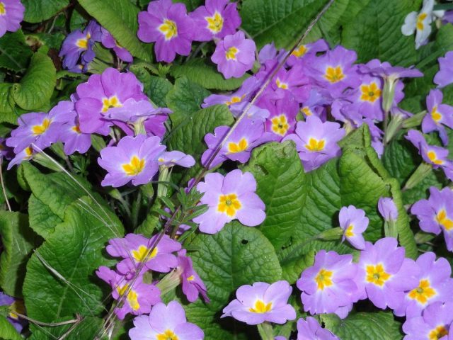 31G101494-c06fcce305414ab88712e4b05dae713d