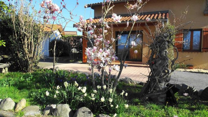 31G101494-cc5c8d8fd9d44954a9ec71a7ae14fc64