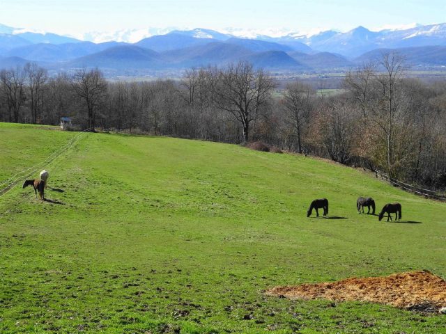 31G101494-e75799204d0a4122a3522608b84774a0