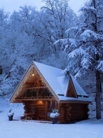 31G101497-0aca319f05ee4ab09828e4b503a5c8ca