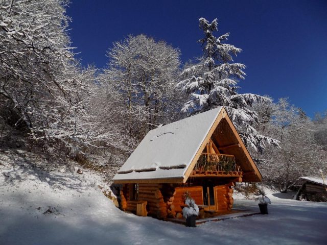 31G101497-7501fff934f943ffb4470c822523470b