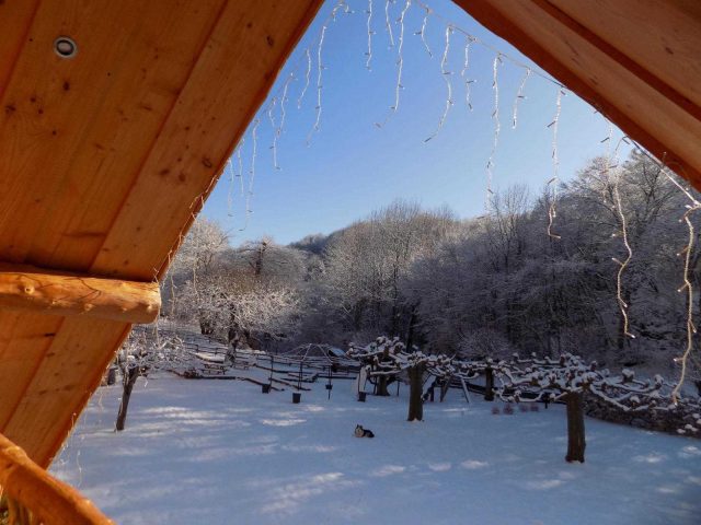 31G101497-81ded8404d59455e84bc457bd3ed1363