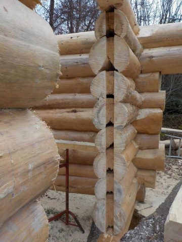 31G101497-9eca052349924cd68dce985fa6e9c7de