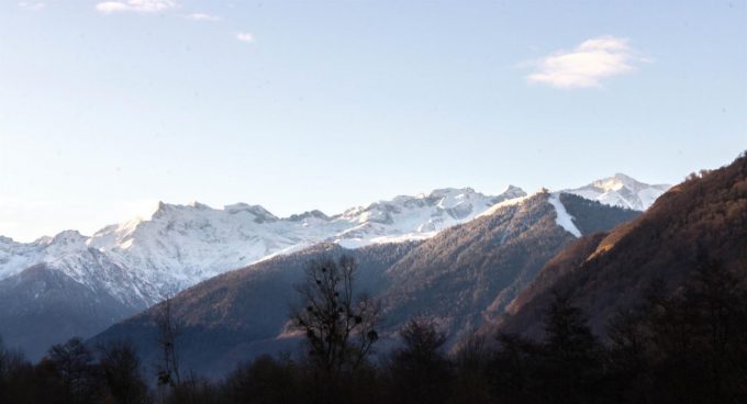 31G101499-0871c5df78ed4cf888fdab472b5af6e6