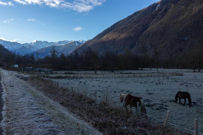 31G101499-5ab620cbb12445b091464b29398d2cb4