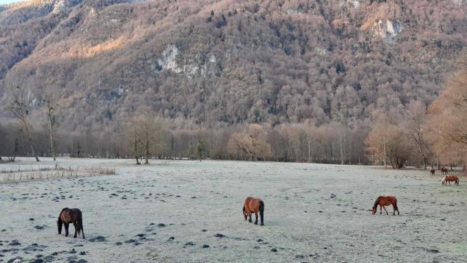 31G101499-68dfc969c91749f6ac55b2bb6599f786