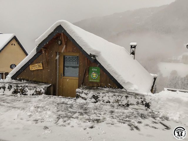 31G101499-77cc212ea1e541379aedcb8c83130e68