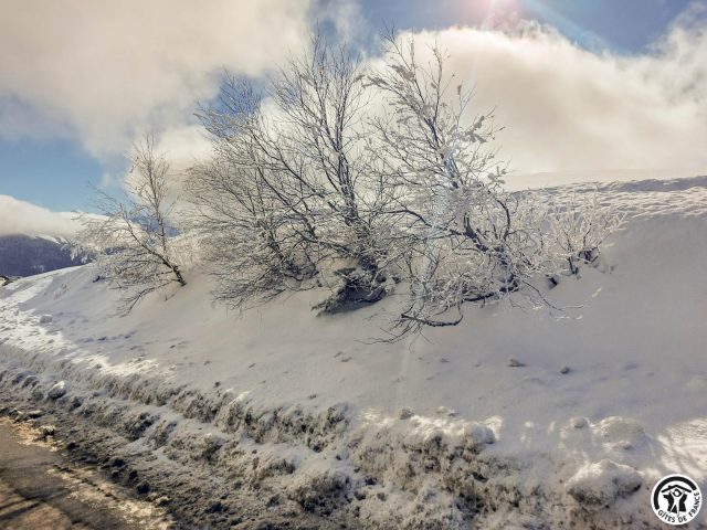 31G101499-8884cbe0370943c19a100d5ad324256d