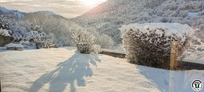 31G101499-95223a99948446b582bb69714d100d37