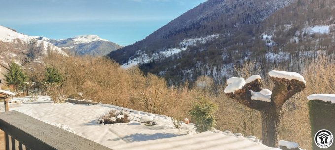 31G101499-a2d8321afc384f0e867f85ca3f0c5d5c