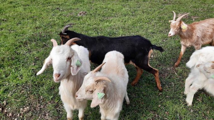 31G101499-b4b92dc69b654b6f87b102da69123205