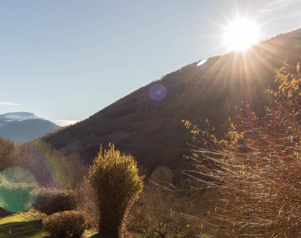 31G101499-d6dfbdc90a474e92974ca9823c0ee4d5