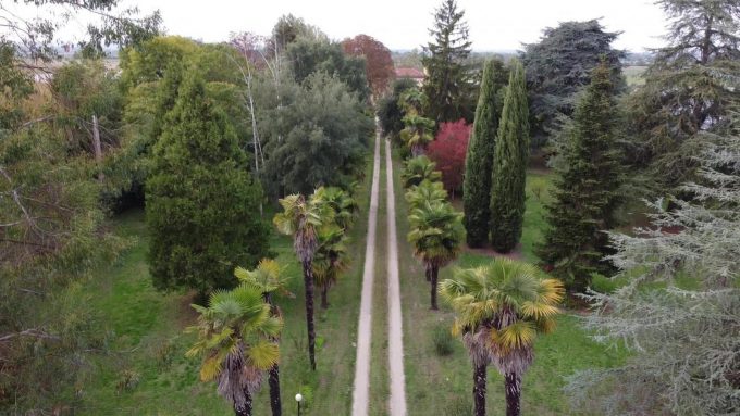 31G101501-97d0e6995cda45a9b3c0db90e3582558