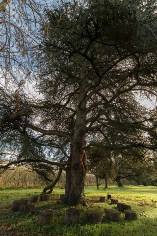 31G101501-a90324e9b98d4cdca5cd9ae95d32d9f0