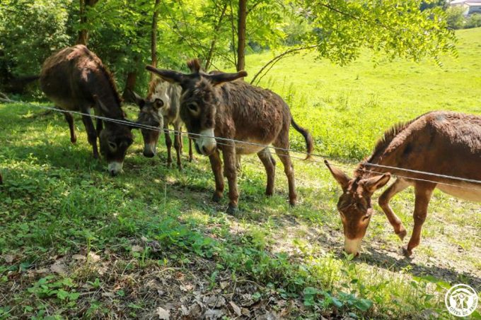 31G101515-a7fefd34476843a99ab66c0e465f0e9a