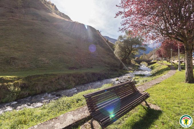 31G101540-2a1d2ccba78c480dabf94b621e0a353a