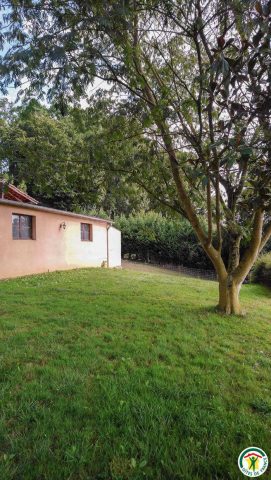 31G101543-d74c85c00585471f9930820df0aef047