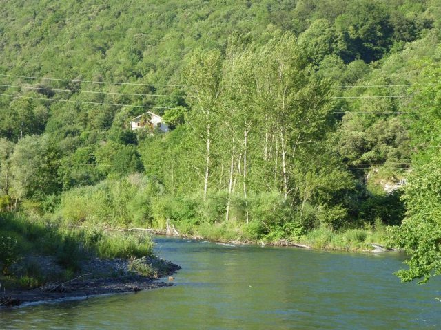 31G101553-15064e2f66444ab4935ecb4a3565082d