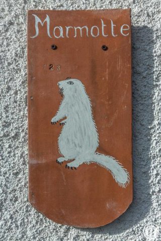 31G101553-a95c7aa168144f088782e2033a555dee