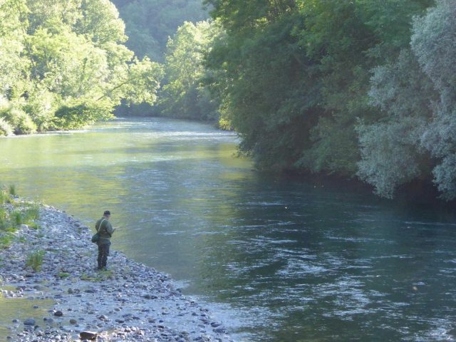 31G101553-da528fb159b845c4b523375eb156898b