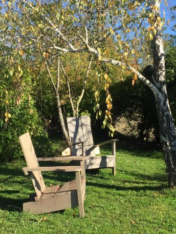 31G101566-7db68576f0bc4dc48236cd8f3aee3536