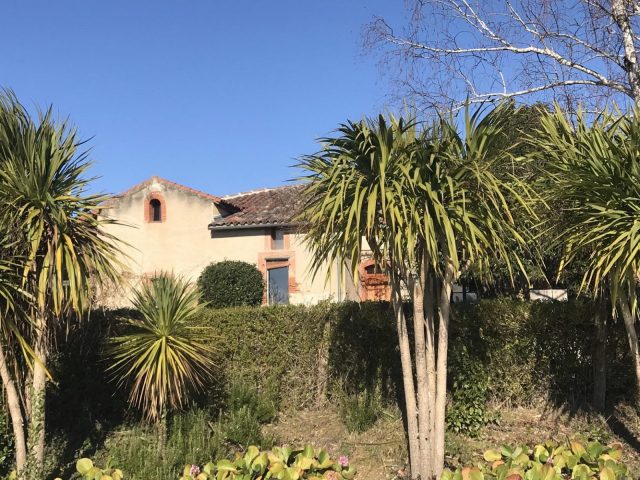 31G101566-d17f862c6adc4fe089ec963d0e35844b