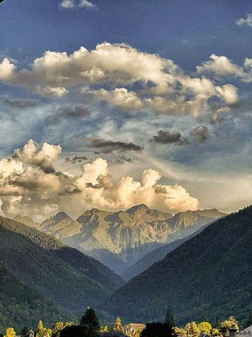 31G101588-173a5f6667434a458031bad193bd3c7e