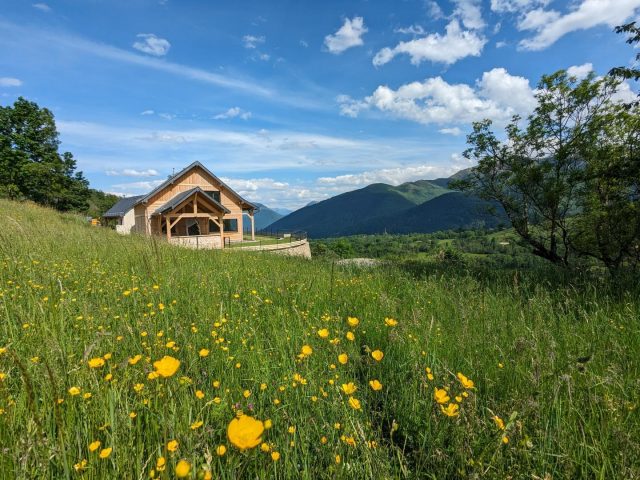 31G101608-274032282a1147f095ae3b6858209de9