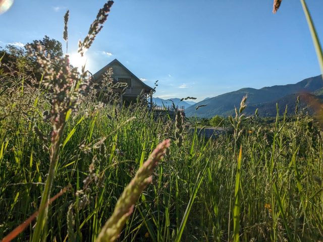 31G101608-39ce98d561e643b6ac8a12e12d4b4d9a