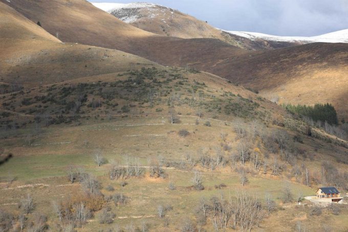 31G101608-6a751a60f3cd4a3086f8e132438f7c88