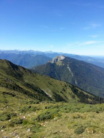 31G101612-25b8809899874e63b4c28914f442f2df