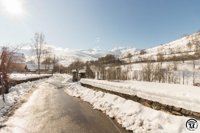 31G101613-28b0b2e796124a36b83ec161d004fd77