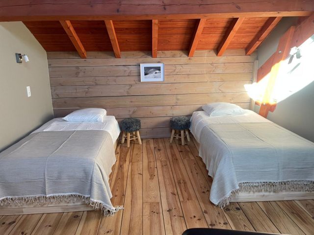 31G101613-91342701e989443a91175170fa33a8f5