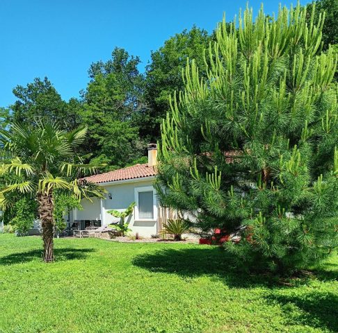 31G101620-6e034ea1fc6f41be91cc628d5cb6151c