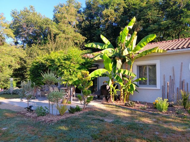 31G101620-740bfb732a104416b39a0995a2304111