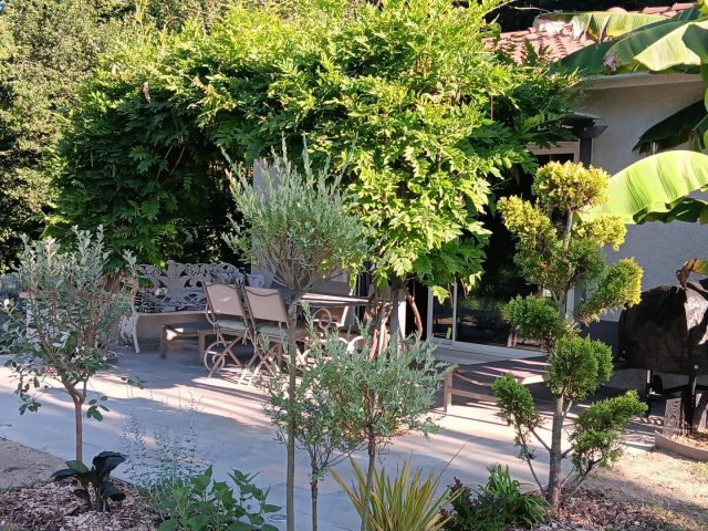 31G101620-892b34f35ecd4b8aaf2e20785aa3a156