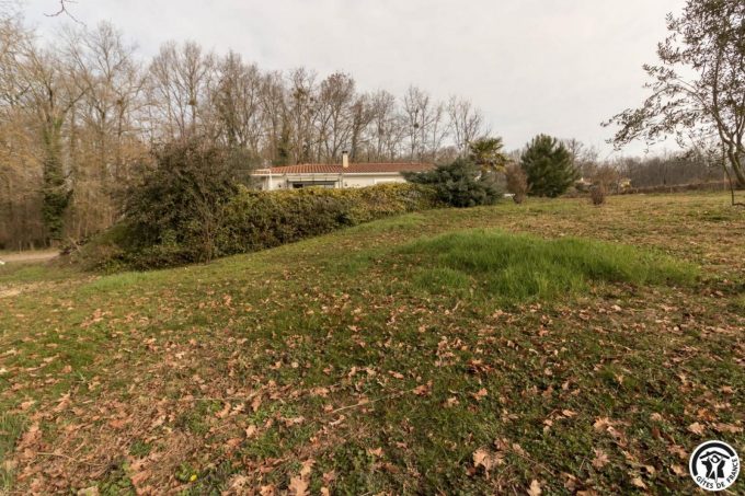 31G101620-b67f4fd224e84397aa50985d5e9a0e30