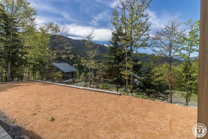 31G101631-016f8ba300cd4b01807d660648721307