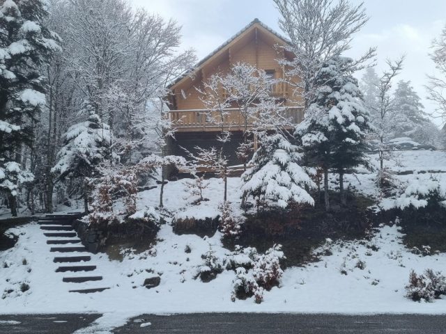 31G101631-8b0c75eb776d4135b768b042f6c30d91