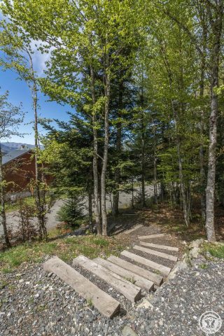 31G101631-e4286cc34a1b45c8bc870feae5058e7c