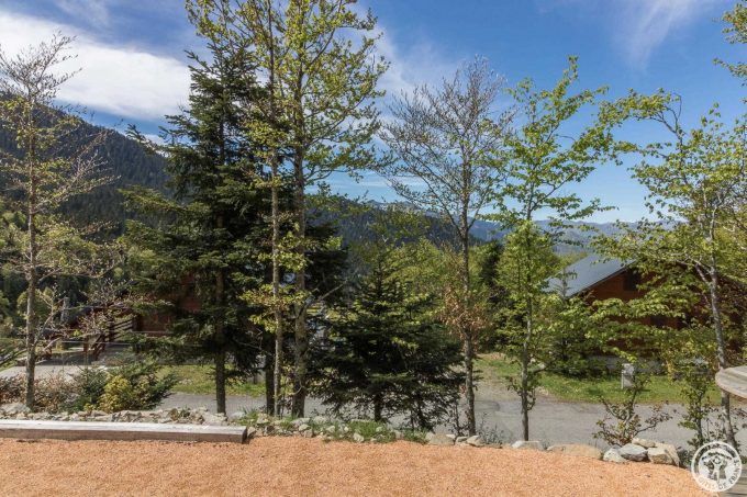 31G101631-f9b7bdf8bbbf47889bada83e8c5ada2f