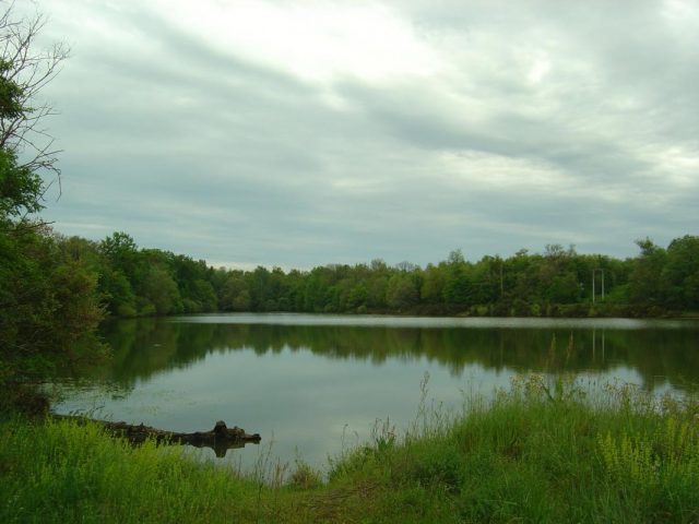 31G101650-1169a730623d48368570ee94510de135